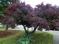 201201267