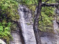 201201278