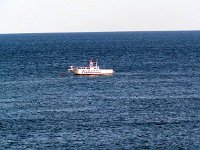 201201336