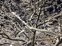 2013pictures00124