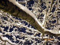 2013pictures00126