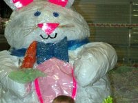 2013pictures00311