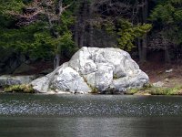 2013pictures00578