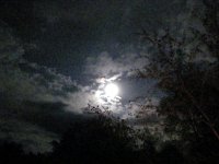 2013pictures00627