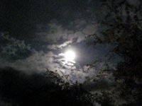 2013pictures00628