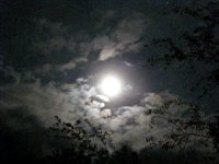 2013pictures00629
