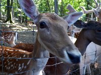2013pictures00973