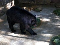 2013pictures01000