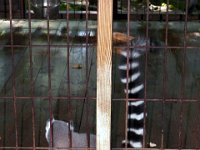 2013pictures01001