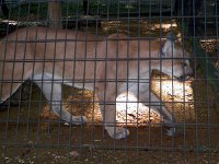 2013pictures01008