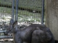 2013pictures01025