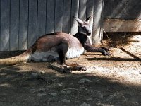 2013pictures01026