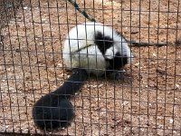2013pictures01027