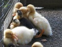 2013pictures01032