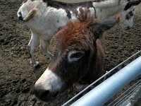 2013pictures01035