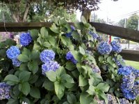 2013pictures01143