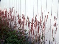 2013pictures01149