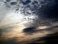 2013pictures01150