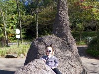 2013pics01211