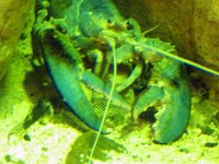 2013pics01245