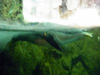 2013pics01246
