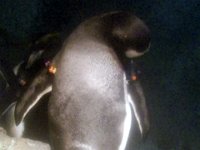 2013pics01247