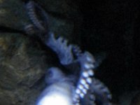 2013pics01251