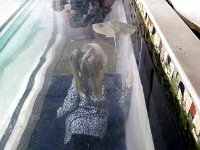 2013pics01263