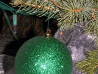 2013pics01376