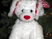 2013pics01380