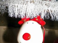 2013pics01428