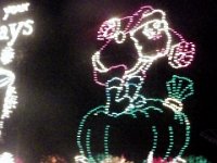 2013pictures01483