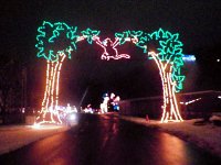 2013pictures01495