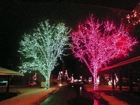 2013pictures01501