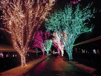 2013pictures01502