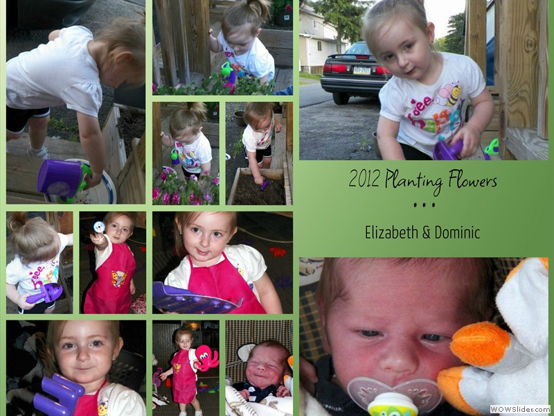 001 Collage (1)